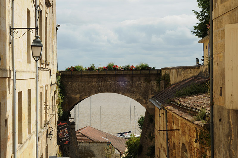 Festival Vie Sauvage 5 à Bourg sur Gironde