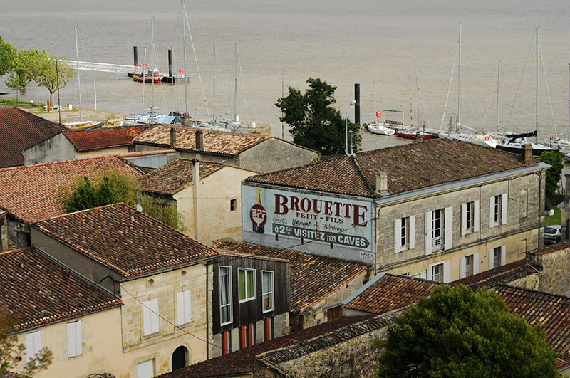 Festival Vie Sauvage 5 à Bourg sur Gironde