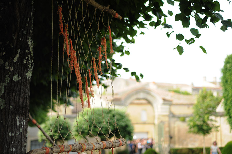 Festival Vie Sauvage 5 à Bourg sur Gironde