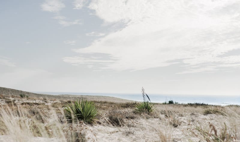 Plage du Cap Ferret dans le Sud Ouest de la France